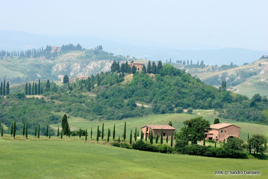 Tipiche colline toscane