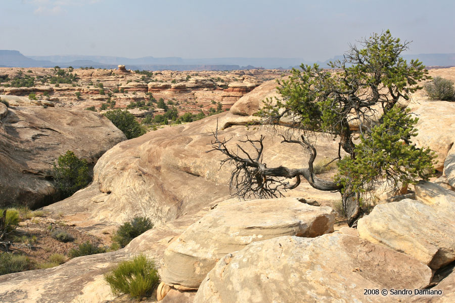 Scenari di Canyonlands