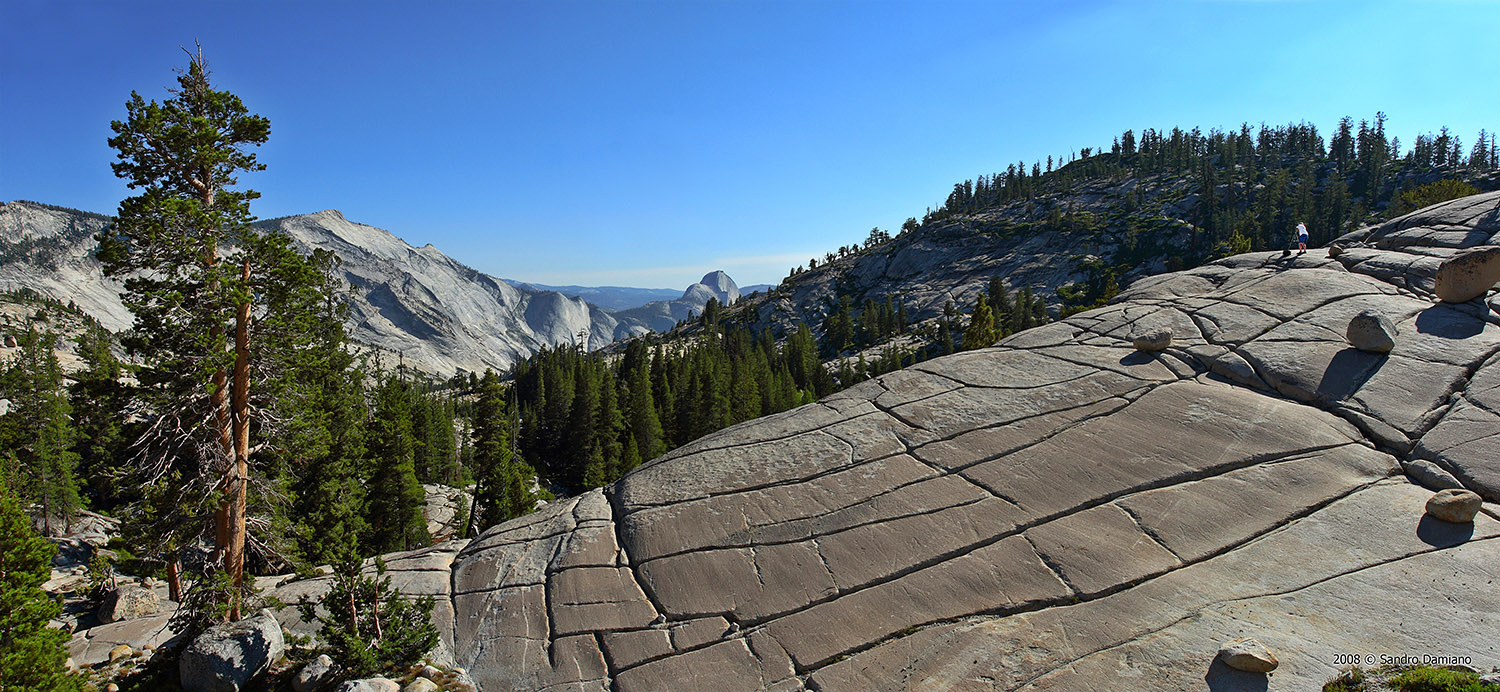 Panorama dello Yosemite con Half Dome sullo sfondo
