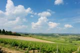Paesaggio toscano