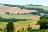 Colline lungo la via delle Crete Senesi