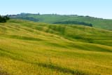 Dolci candide colline