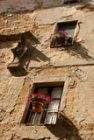 Finestre fiorite