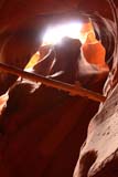 Un tronco caduto nell`Antelope Canyon