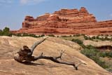 Paesaggi selvaggi di Canyonlands