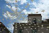 Decorazioni a forma di colomba sulla piazza di Amalfi