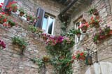 Finestre fiorite