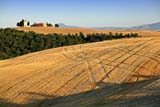 Le Crete Senesi