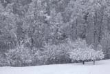 La neve è ritornata