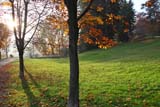 Parco della Burcina