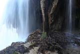 Albero con la cascata intorno