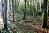 Inizio della giornata nel parco