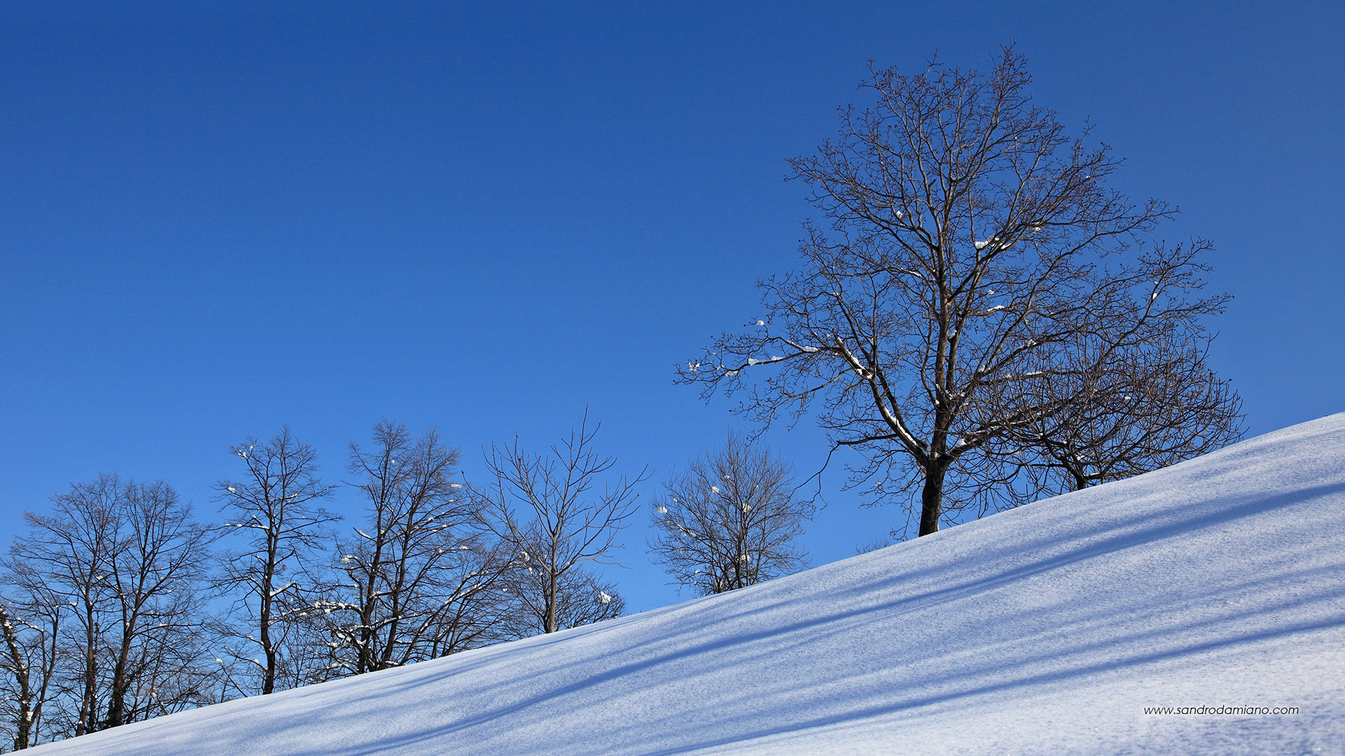 Armonia invernale