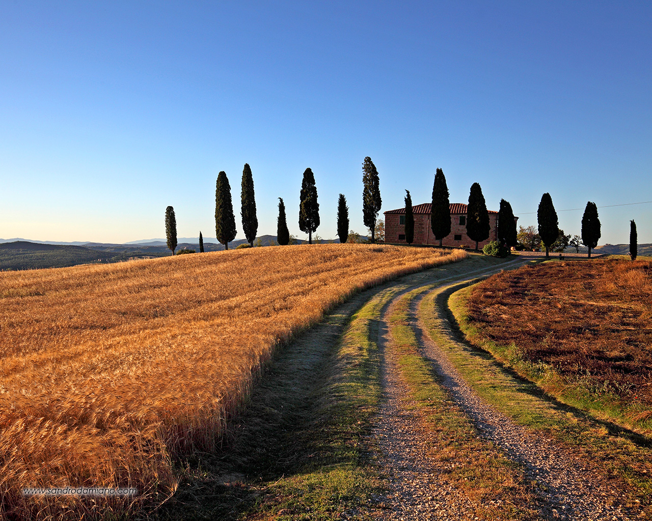 Tramonto ai Cipressini