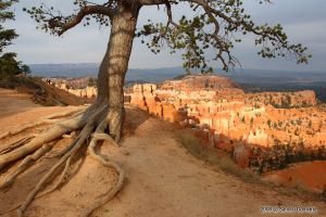 La luce riemerge nel Bryce Canyon
