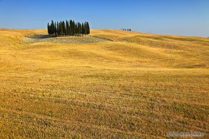 Famoso panorama della Val d'Orcia Famoso panorama della Val d'Orcia