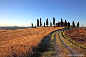 I Cipressini I Cipressini
