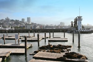 Il famoso molo Pier 39