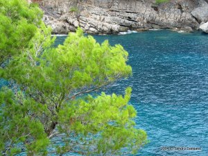 Scorcio di mare