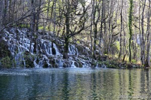 Innumerevoli piccole cascate