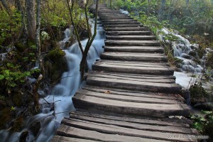 Passerella di legno