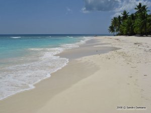 Spiaggia dell'isola di Saona Spiaggia dell'isola di Saona